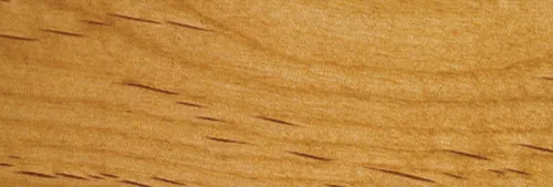 Alder