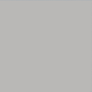 GRAY TINT glass