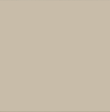 BRONZE TINT glass
