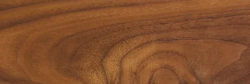 Black Walnut