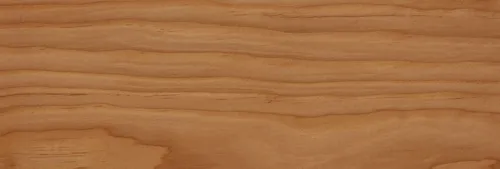 Douglas Fir
