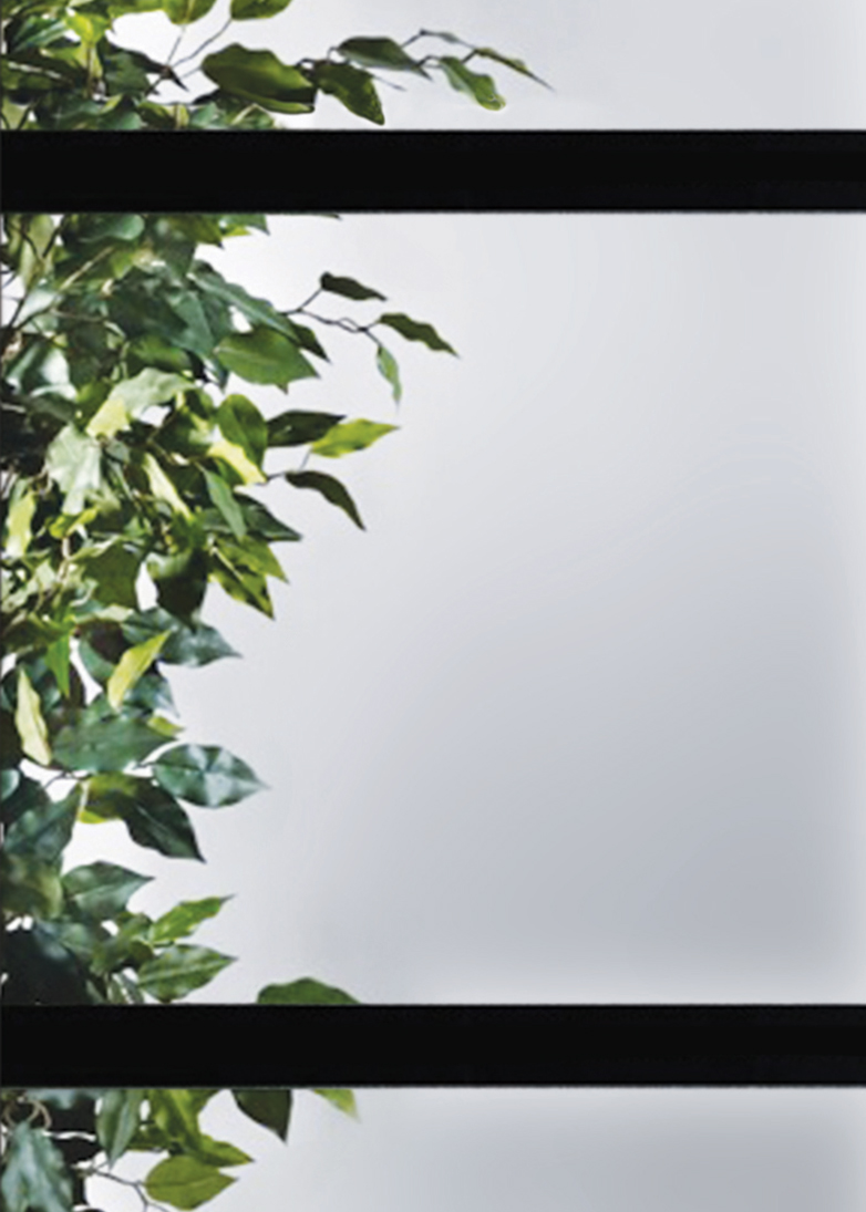 Cadence - Clear decorative door glass
