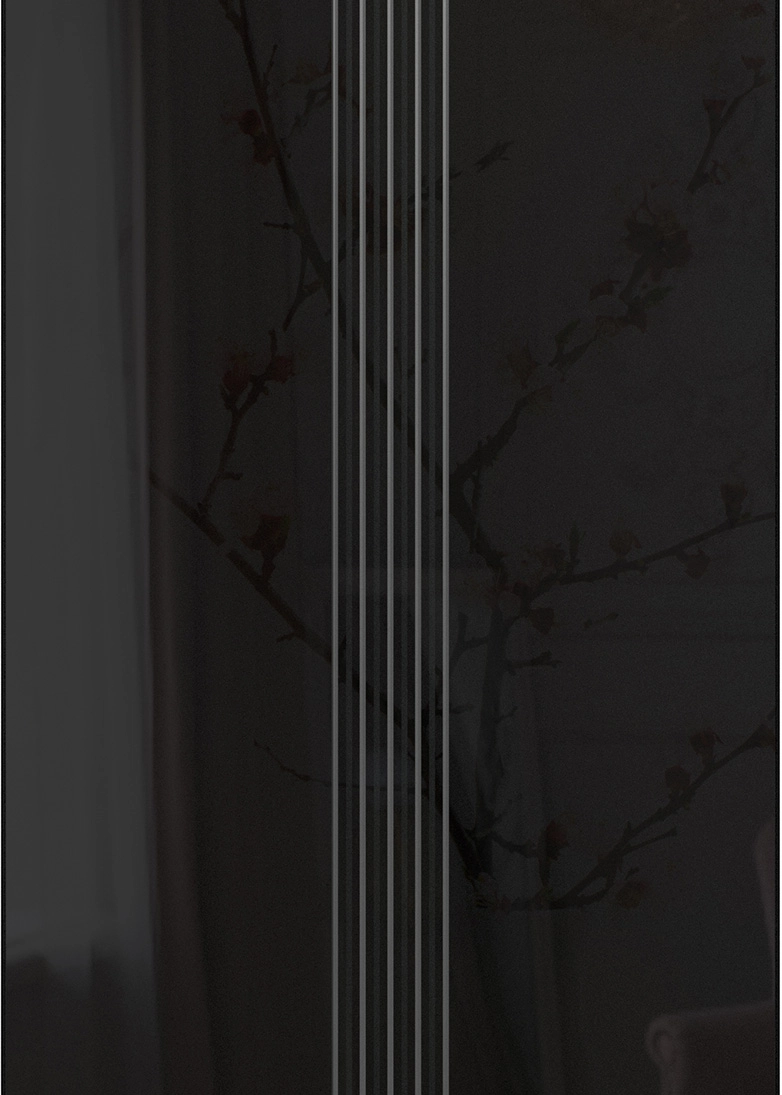 Infinite - black decorative door glass