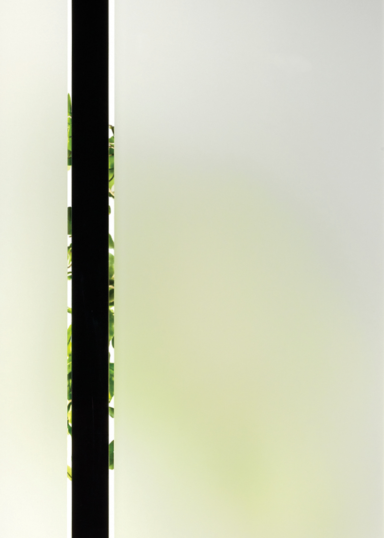 Java decorative door glass