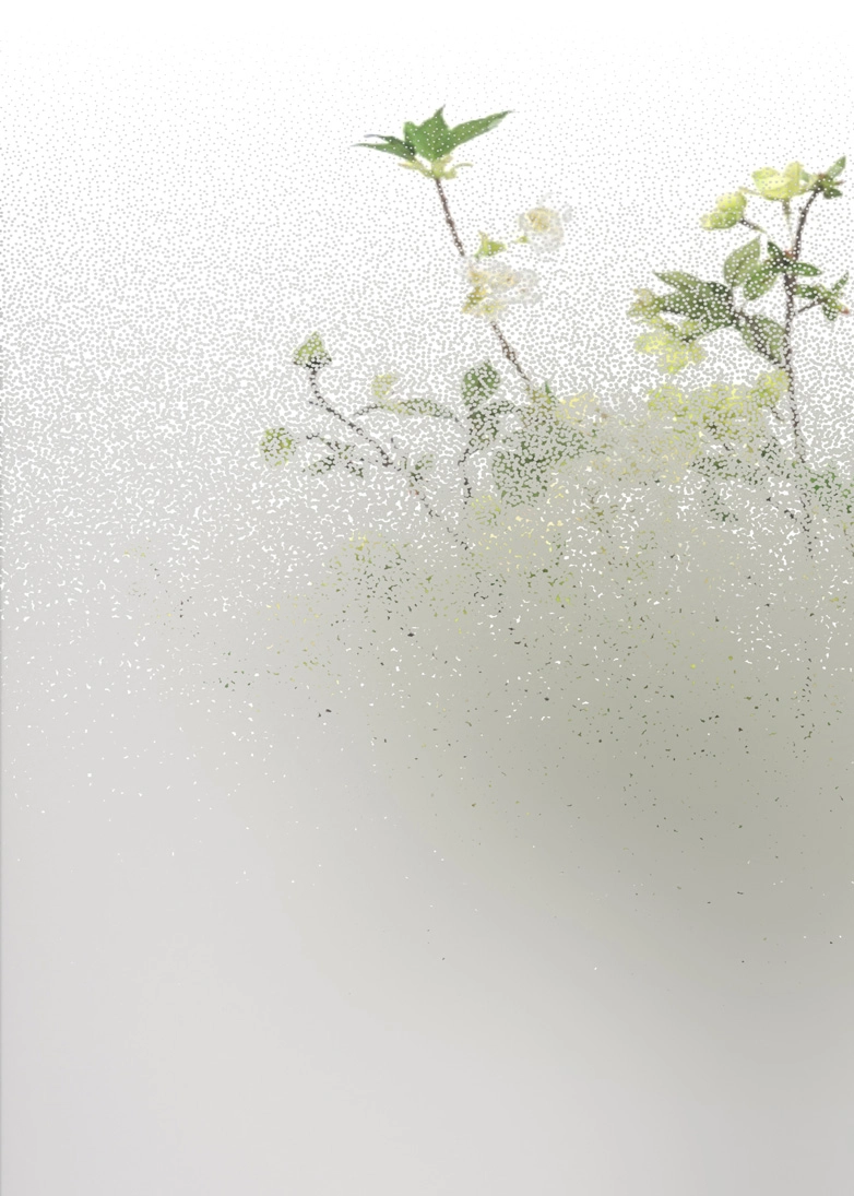 Mist decorative door glass