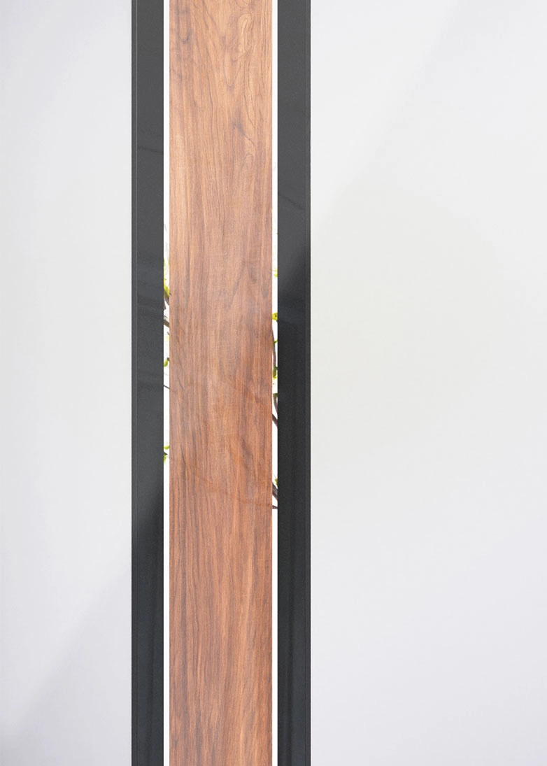 Zen - Walnut Sandblasted decorative door glass