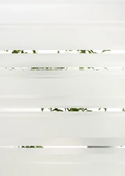 Azur