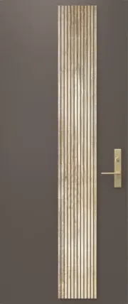 Wood Finish Steel Entry Door