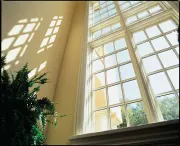 Aluminum Clad Wood Shaped Window