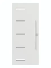 Linea Steel Entry Door