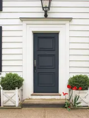 Sydney Steel Entry Door