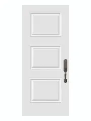 Sydney Steel Entry Door