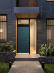 Tao Steel Entry Door