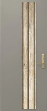 Wood Finish Steel Entry Door