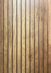 Wood Finish Steel Entry Door
