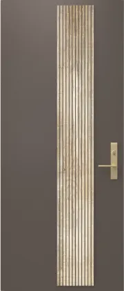 Wood Finish Steel Entry Door