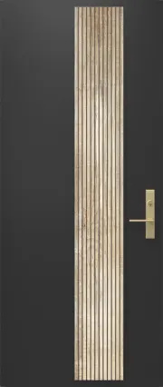 Wood Finish Steel Entry Door