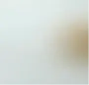 ACID EDGE