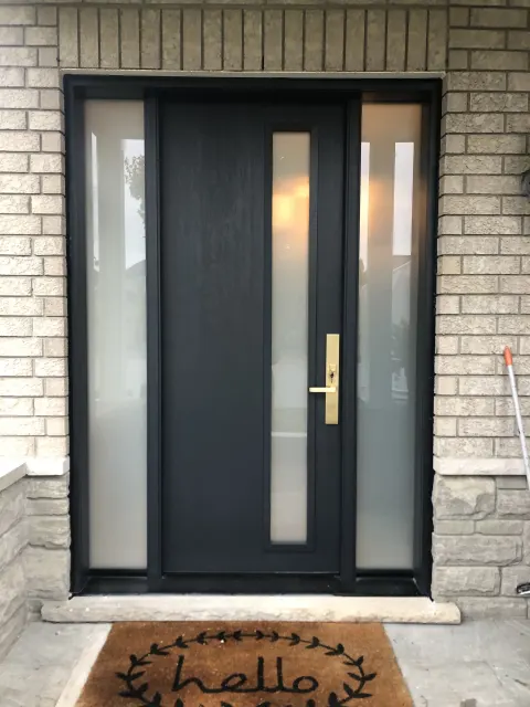 modern style black door with frosted sidelights
